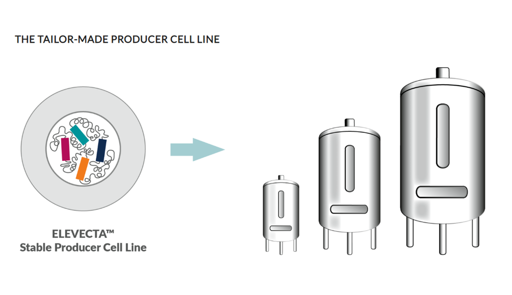 agram of ELEVECTA platform and 3 sizes of bioreactors