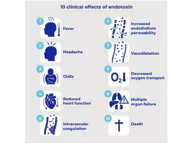 A summary of the clinical effects of endotoxin exposure
