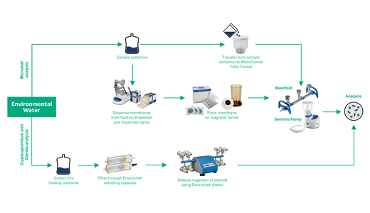 Track microbial contamination in environmental water card image