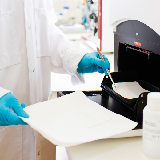 Protein quantitation in western blotting part 1 & 2