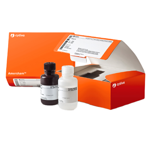 Total protein staining