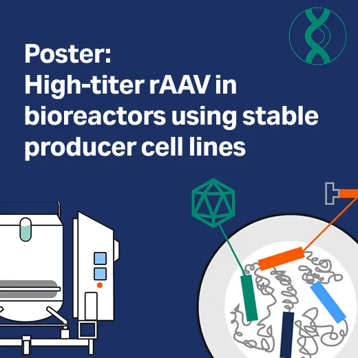 Robust AAV production with a true stable producer cell line