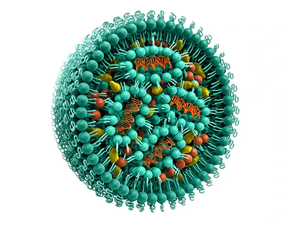Lipid nanoparticle