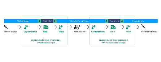 The vein-to-vein autologous cell therapy workflow