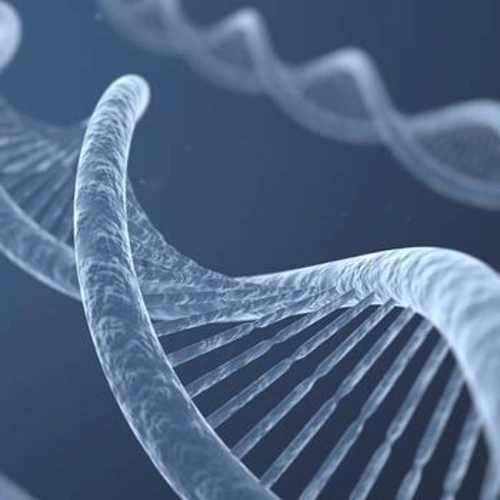 Extraction, isolation, and purification of DNA and RNA