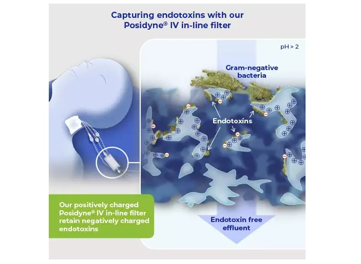 Negatively charged endotoxins are captured with positively-charged Posidyne filters