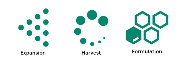 Expansion and post workflow steps