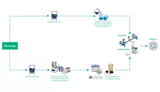 Detection of food spoilage organisms card image
