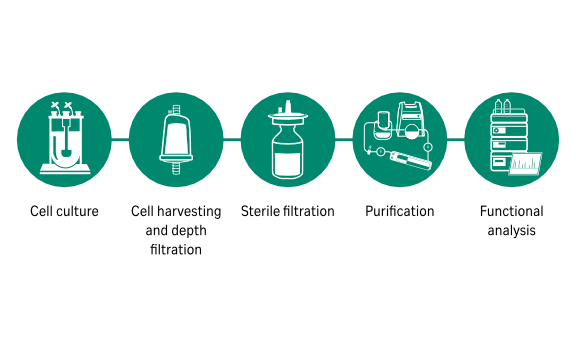 Life science research graphic