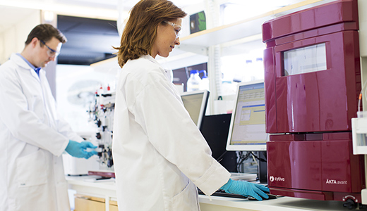 content-banner-monoclonal-antibody