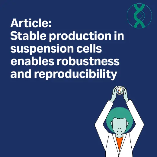 AAV producer cell lines: Learning from mAbs