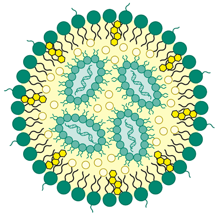 Lipid nanoparticle formulations