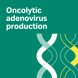 oncolytic-AV-Production image