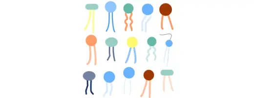 Ionizable lipid portfolio card