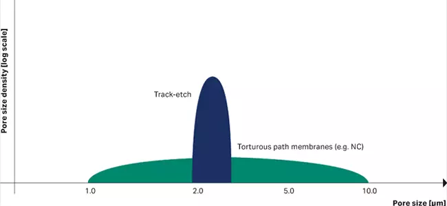 Why  you should use track-etched membranes image
