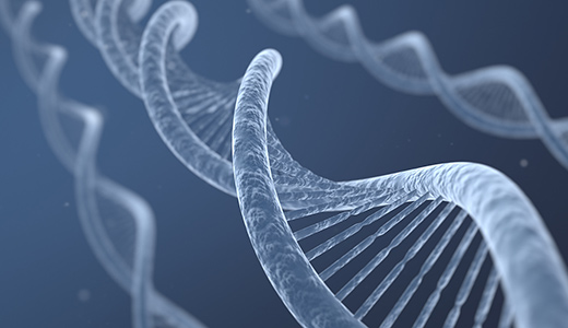 content-banner-plasmid-DNA