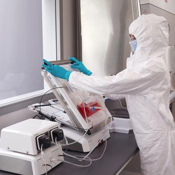 Rocking bioreactor content for cell expansion