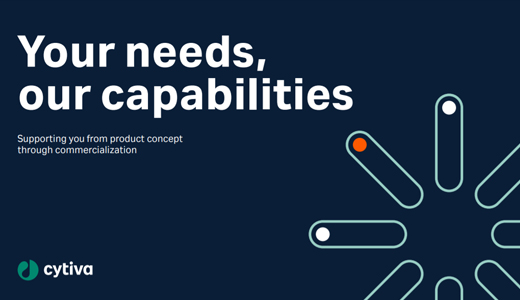 Your needs, our capabilities