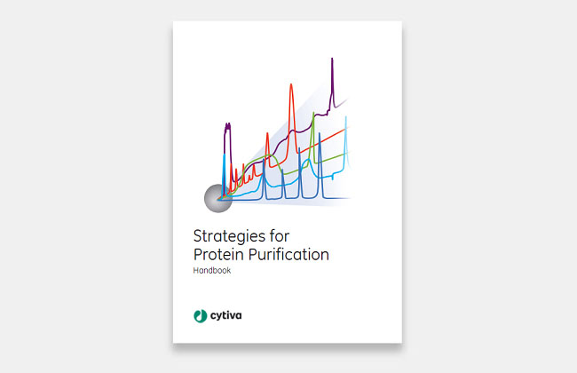 ppstrategies_handbook