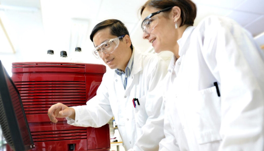 Regulatory and application support 520