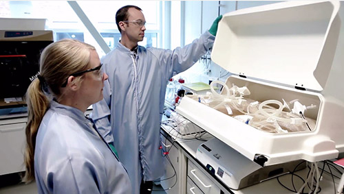 Single-use-WAVE-people