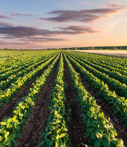 Filtration for Soil Testing Environment