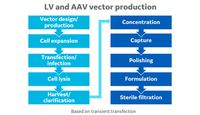 lentivirus AAV production workflow transient