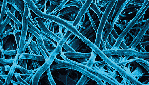 AAV vector collaboration