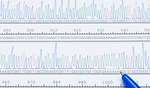 Sanger Sequencing Chart