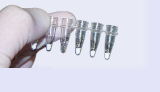 Webinar introducing Lyo-Stable technology