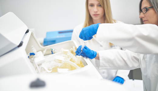 Cell therapy manufacturing training