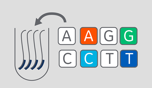 The Sanger chain termination method