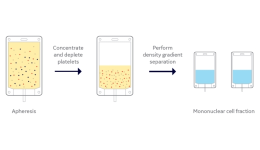 Diagram of  steps performed by PremierCell, a Sefia protocol software.