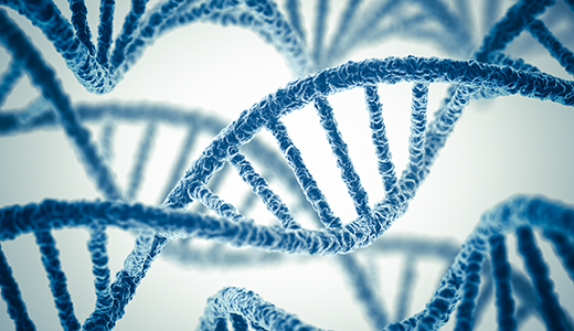 Whole genome amplified DNA