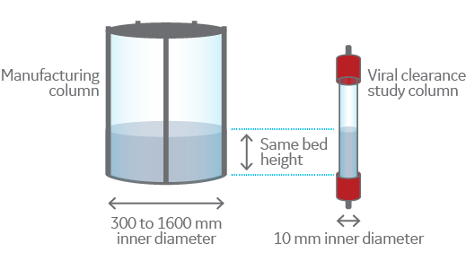 Chromatography scale-down illustration