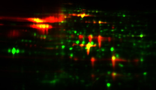 HCP Coverage Cy3  Cy5 color overlay