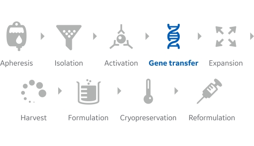 General cell processing workflow with gene transfer highlighted