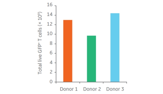 封闭和半自动化处理CAR T细胞