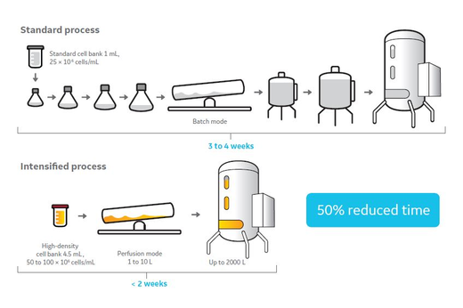 illustration showing a standard process against an intensified process with 50 percent redution in time