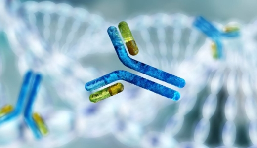 Host cell protein coverage assay essentials