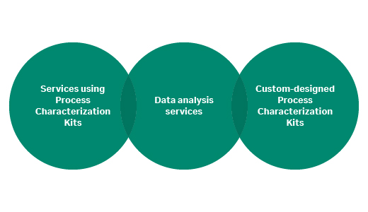 Fast Trak Process Robustness Services