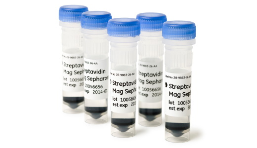 Streptavidin Mag Beads Group