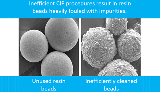Comparison of unused chromatography resin beads and beads cleaned using inefficient CIP procedures