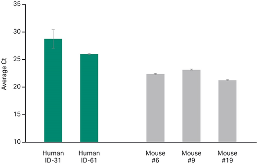 MTB Human and Murine Blood