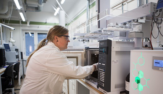 E and L image IMG_7891