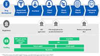 Drug development timeline