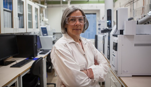 Fast Trak E&L Services