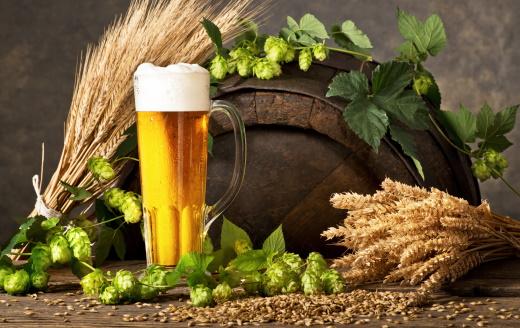 Brewing beer glass with raw ingredients