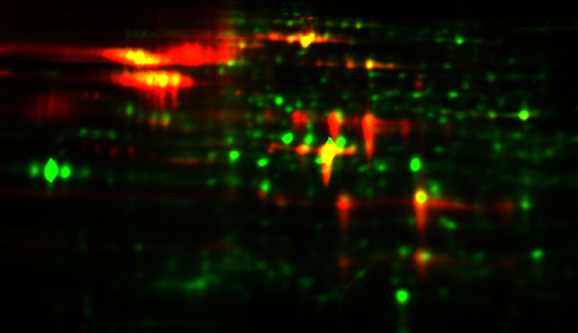 Blog:  How well are your HCP ELISAs covered?