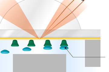 表面等离子共振